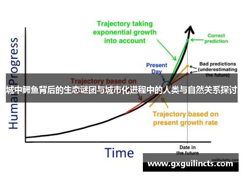 城中鳄鱼背后的生态谜团与城市化进程中的人类与自然关系探讨